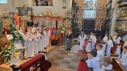 image7 image7